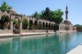 /album/resim-galerisi/indir-5-jpg/